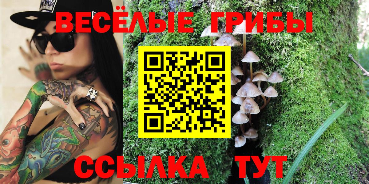 Псилоцибиновые грибы Psilocybe  Галлюциногенные грибы ЛСД  Кирово-Чепецк  Вход с VPN 