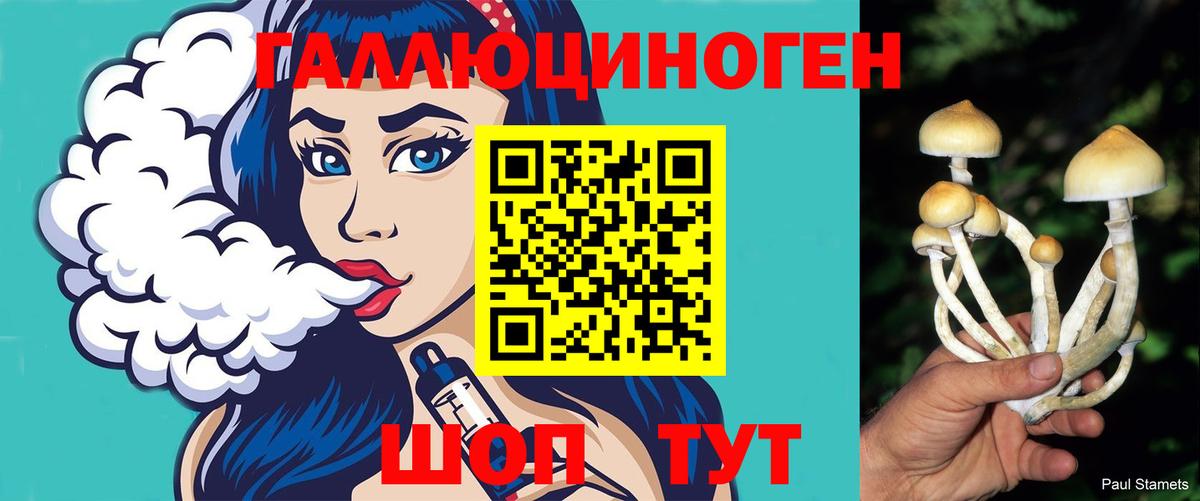 Псилоцибиновые грибы Magic Shrooms Кирово-Чепецк